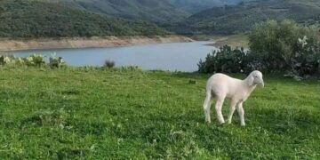 استكشف جمال منطقة يابوس السياحية في الجزائر
